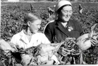 Кайназарова, Зууракан