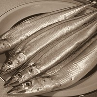 Кийизбаева, Сайра