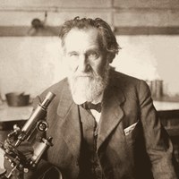 Мечников, Илья Ильич