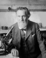 Мечников, Илья Ильич