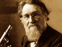 Мечников, Илья Ильич