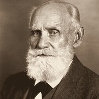 Павлов, Иван Петрович