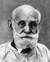 Павлов, Иван Петрович