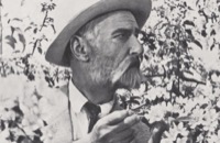 Мичурин, Иван Владимирович